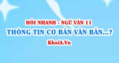 Thông tin cơ bản của văn bản là gì? Cách trình bày ý tưởng và thông tin, dữ liệu? Ngữ Văn lớp 11
